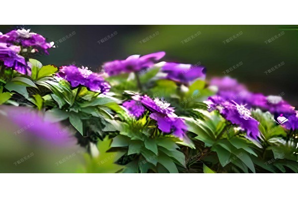 武汉桑拿哪家强?体验最赞的秘籍在这里! 武汉桑拿哪家强?体验最赞的秘籍在这里!